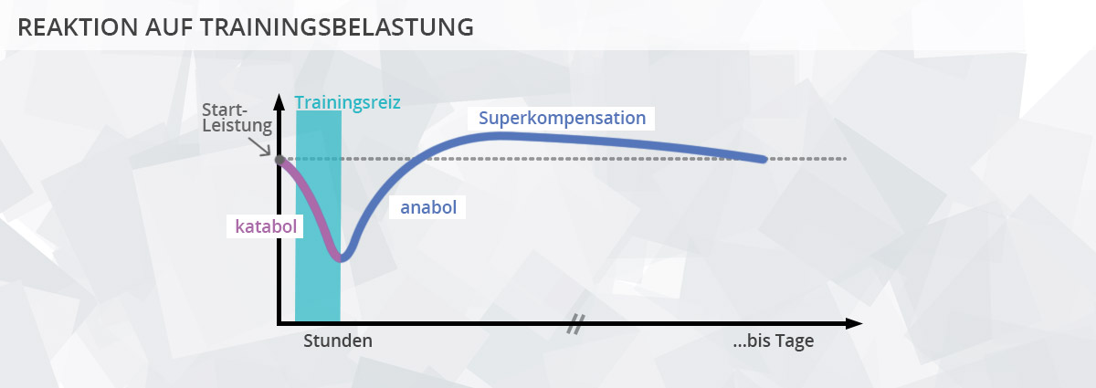 Reaktion auf Trainingsbelastung